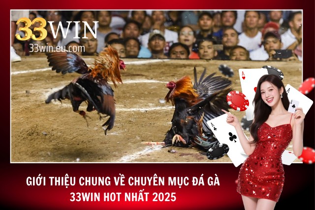 Giới thiệu về chuyên mục đá gà tại 33WIN hot nhất 2025