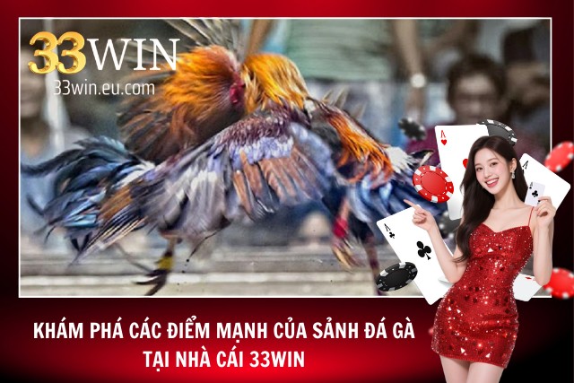 Khám phá điểm mạnh của sảnh đá gà tại 33WIN