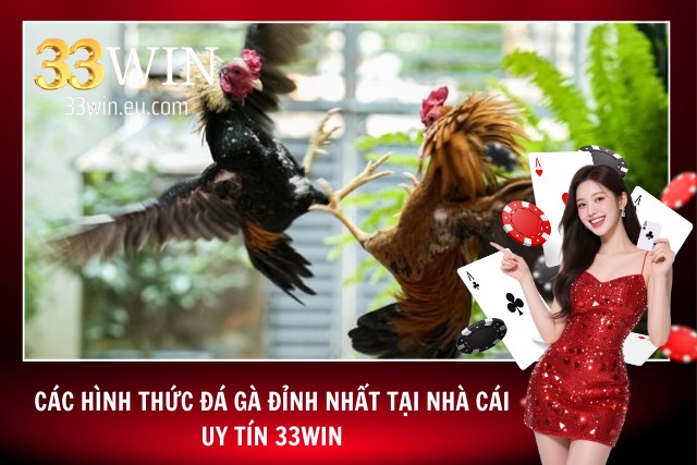 Các hình thức đá gà tại 33WIN đỉnh nhất hiện nay